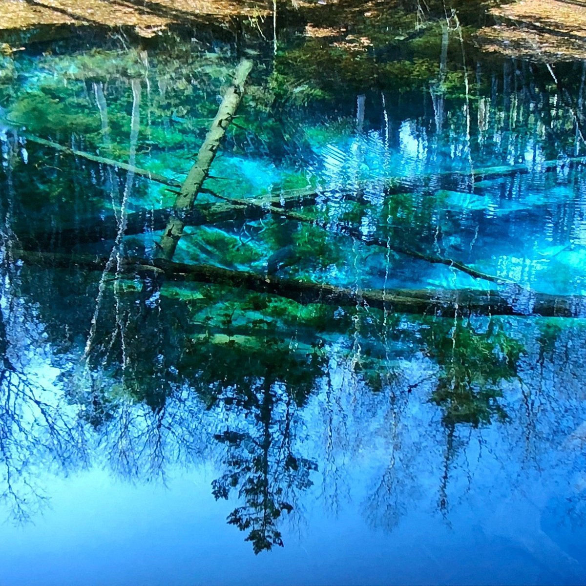 🏞️ 우라마슈 전망대 이미지 4